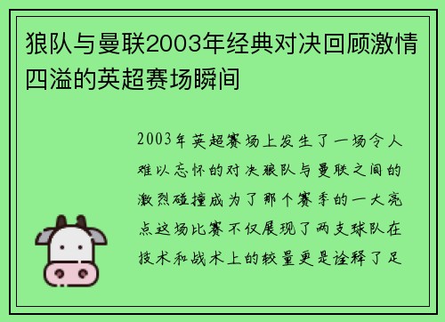 狼队与曼联2003年经典对决回顾激情四溢的英超赛场瞬间