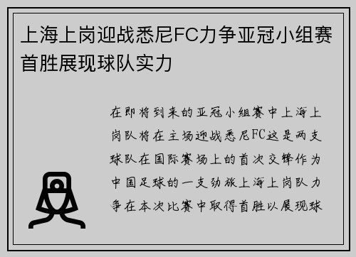 上海上岗迎战悉尼FC力争亚冠小组赛首胜展现球队实力