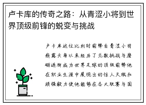 卢卡库的传奇之路：从青涩小将到世界顶级前锋的蜕变与挑战